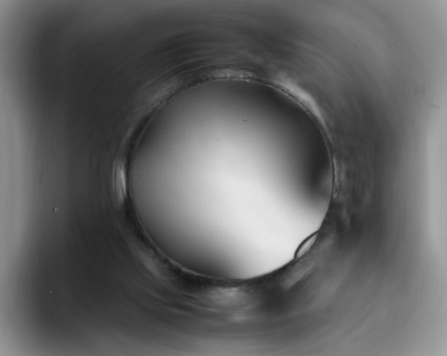 X0000092240061200709141131