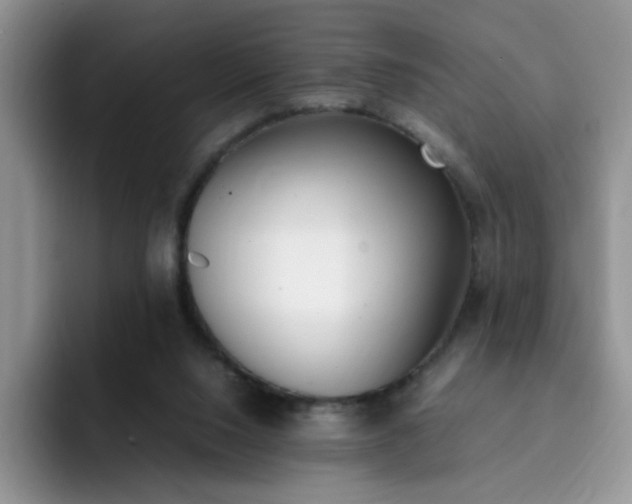 X0000092240064200709141131