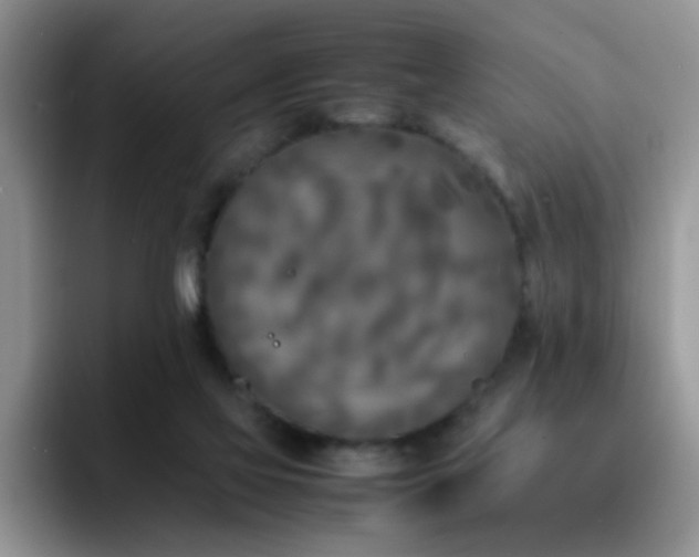 X0000092240069200709141131