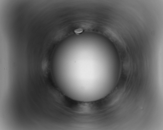 X0000092240079200709141131