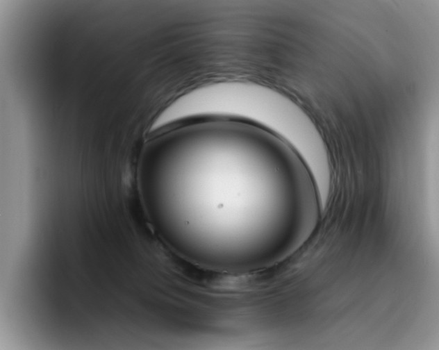 X0000092240084200709141131