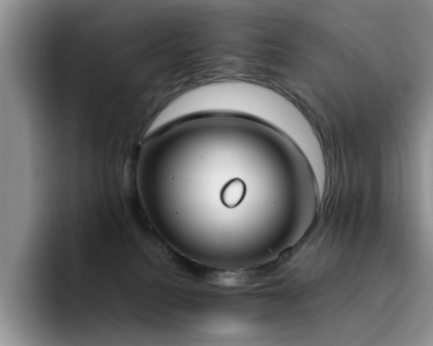 X0000092240088200709141131
