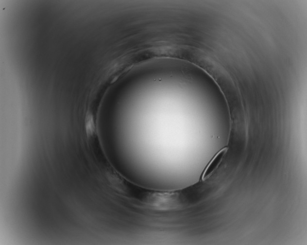 X0000092240089200709141131
