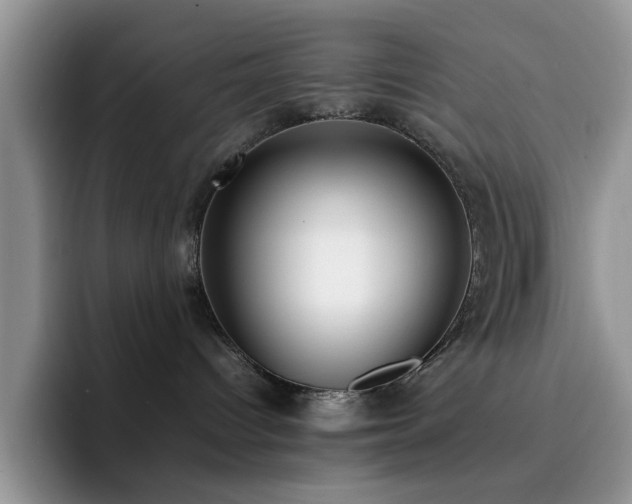 X0000092240096200709141131
