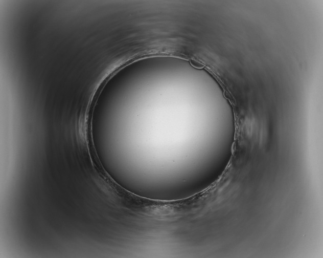 X0000092240100200709141131