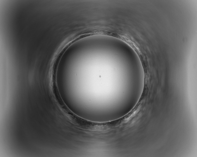 X0000092240101200709141131