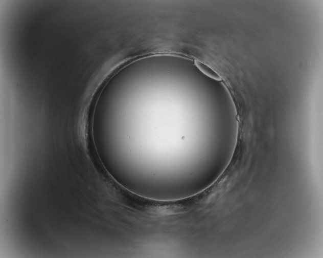 X0000092240103200709141131