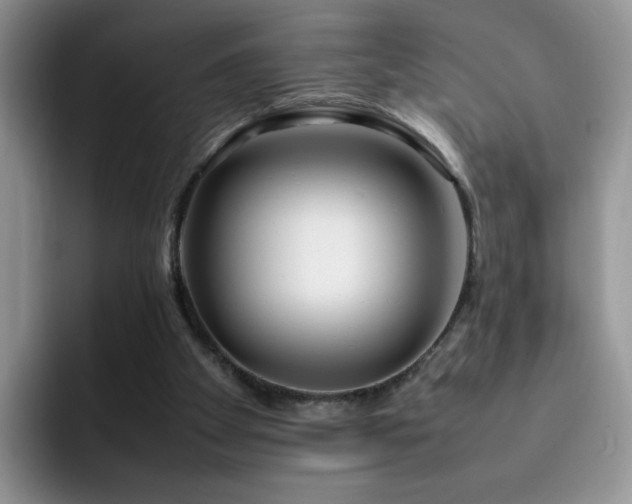 X0000092240105200709141131