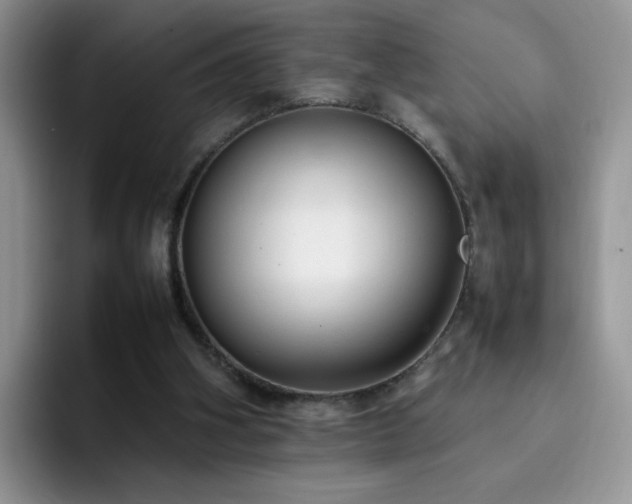 X0000092240106200709141131
