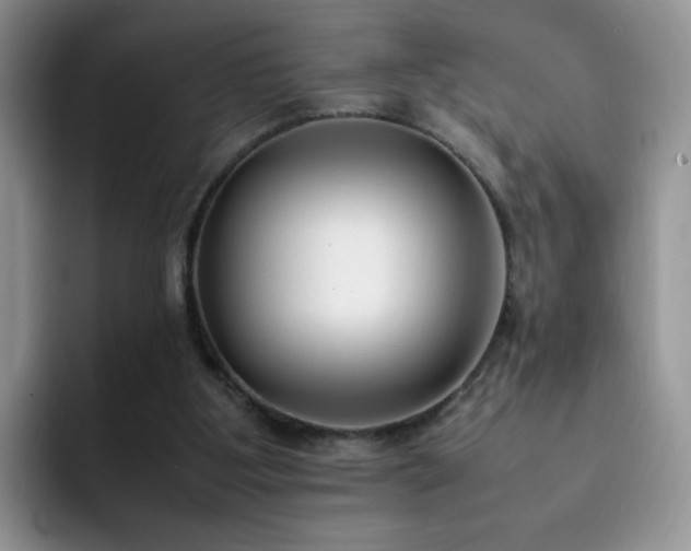 X0000092240107200709141131