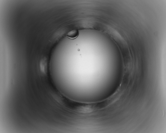 X0000092240120200709141131