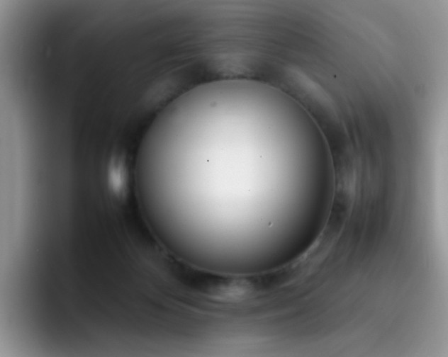 X0000092240124200709141130