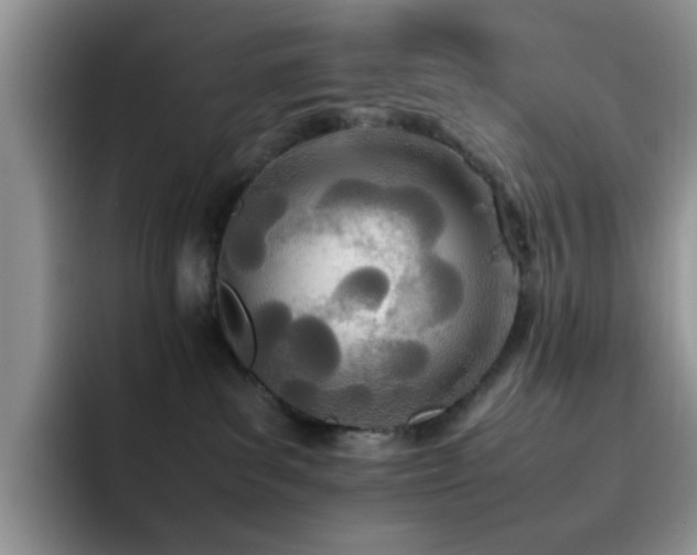 X0000092240139200709141130