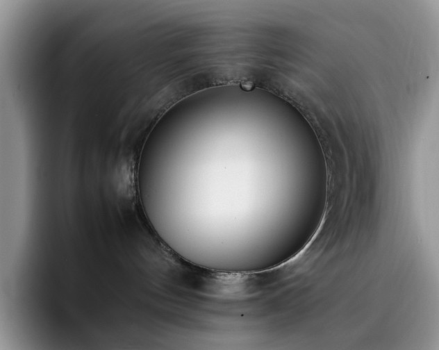 X0000092240144200709141130