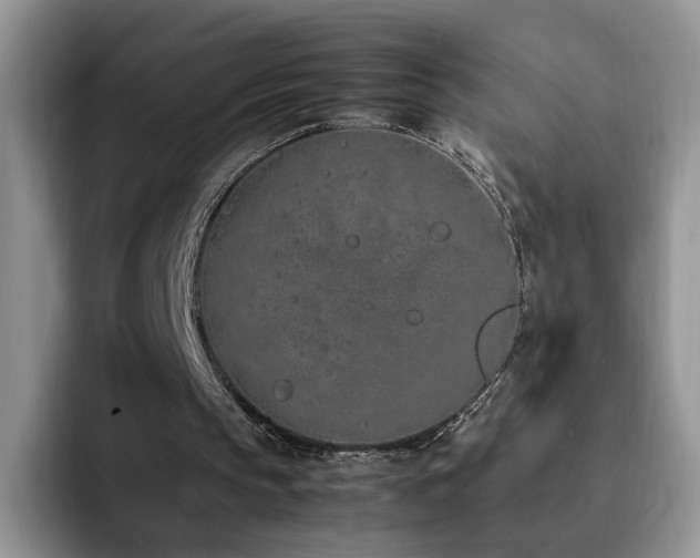 X0000092240145200709141130