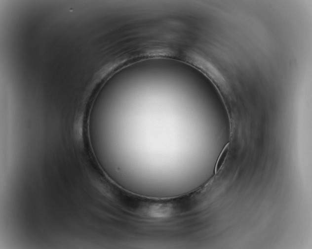 X0000092240155200709141130