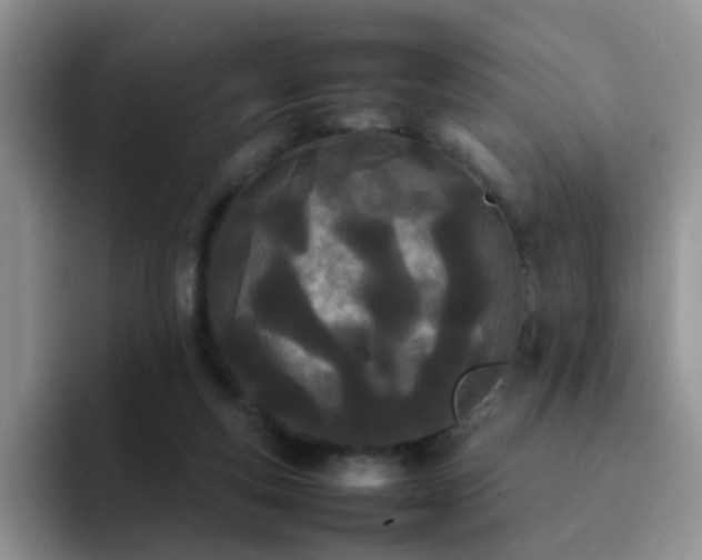 X0000092240163200709141130