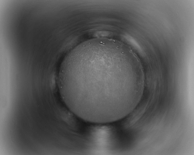 X0000092240169200709141130