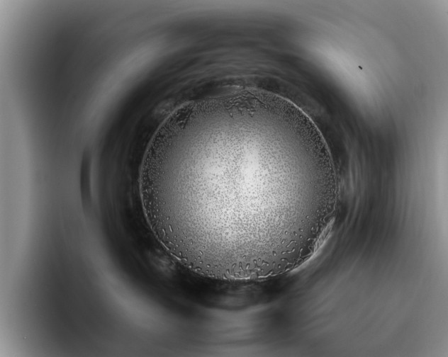 X0000092240191200709141130