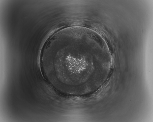 X0000092240195200709141130