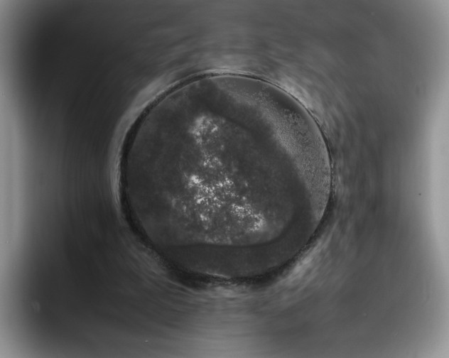 X0000092240199200709141130