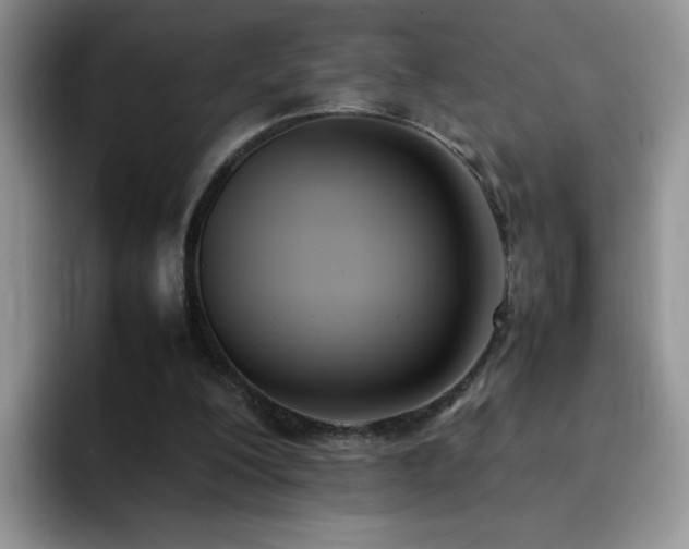 X0000092240200200709141130