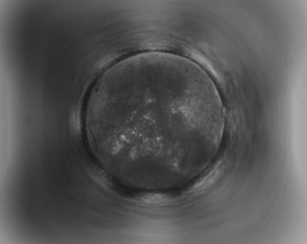 X0000092240203200709141130