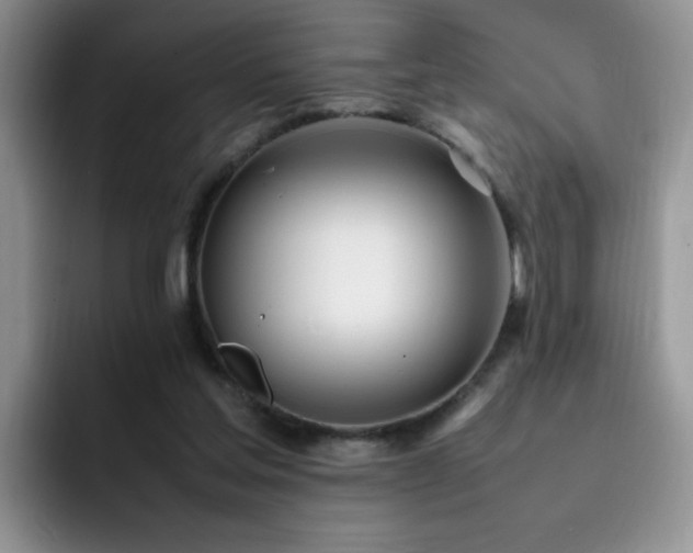 X0000092240205200709141130