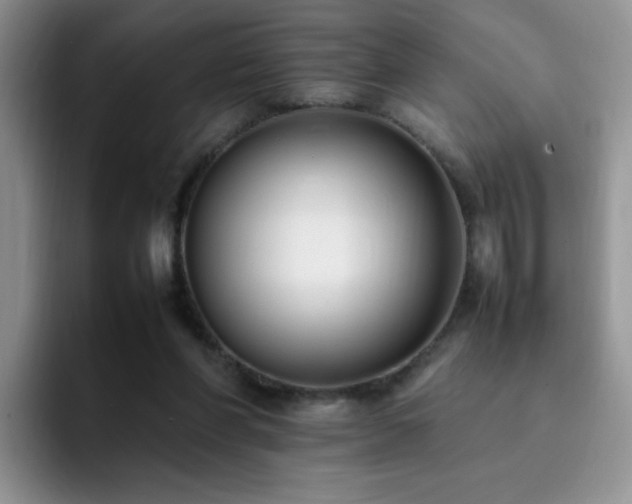 X0000092240206200709141130
