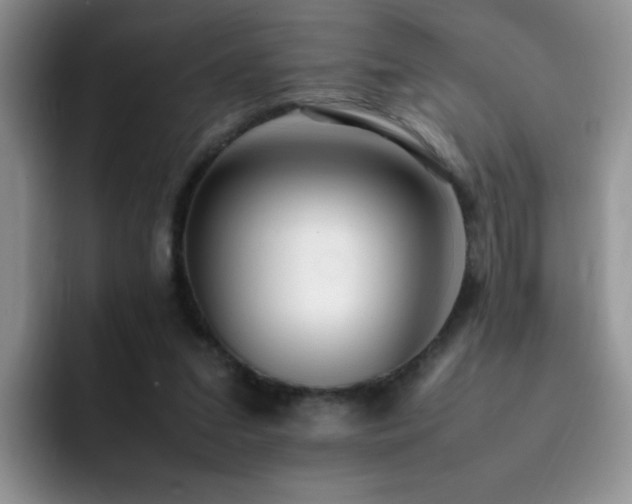 X0000092240207200709141130