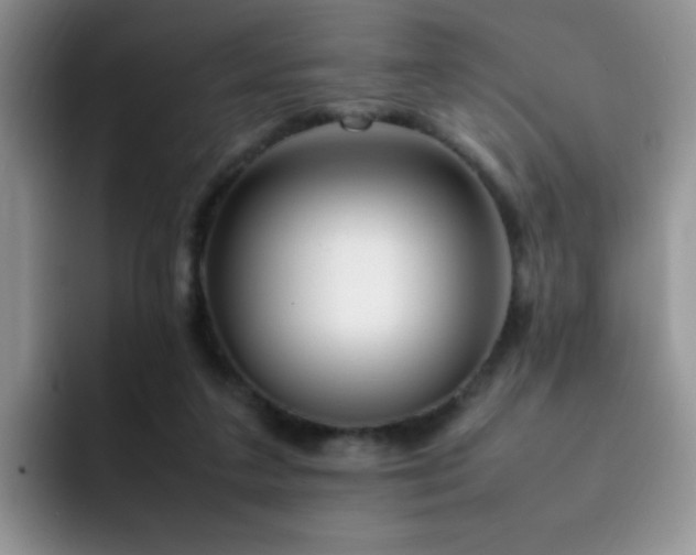 X0000092240211200709141129