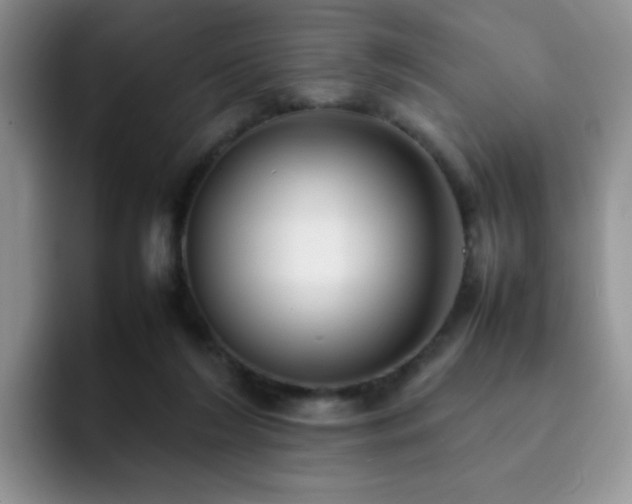 X0000092240212200709141129