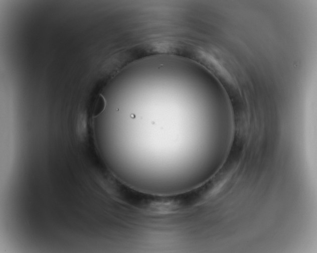 X0000092240213200709141129