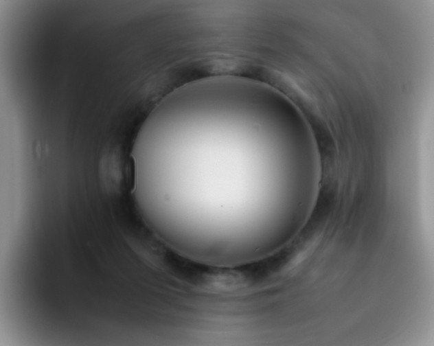 X0000092240215200709141129