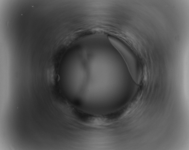 X0000092240223200709141129