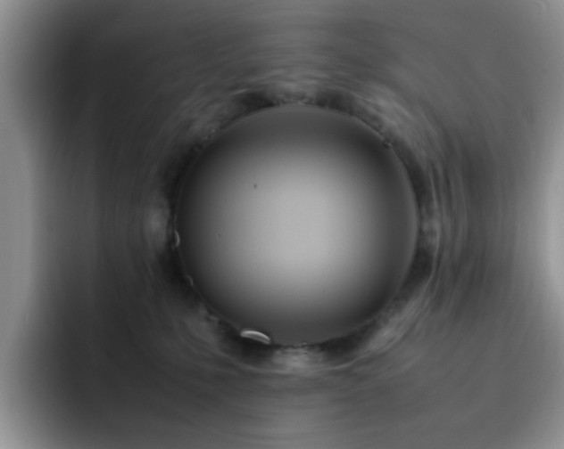 X0000092240231200709141129