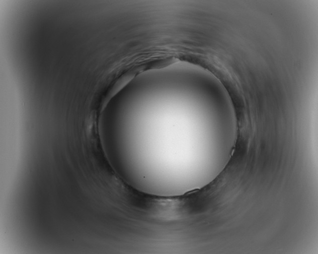 X0000092240233200709141129