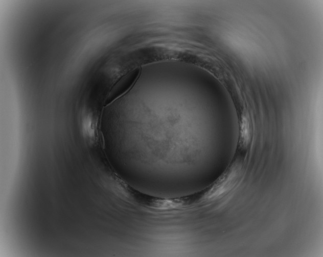X0000092240239200709141129