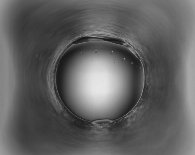 X0000092240241200709141129