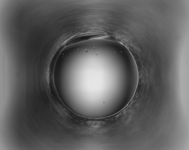 X0000092240242200709141129
