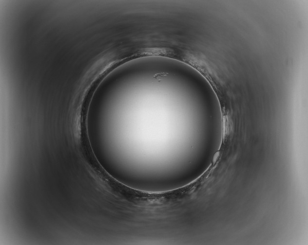 X0000092240243200709141129