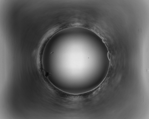 X0000092240245200709141129