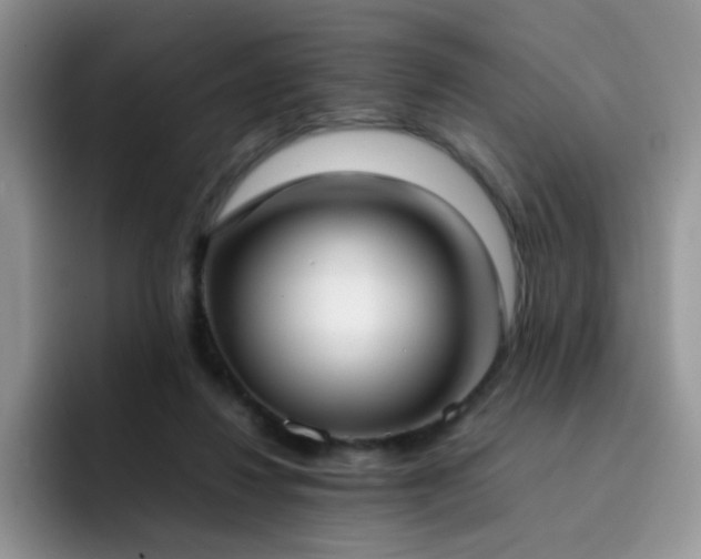 X0000092240260200709141129
