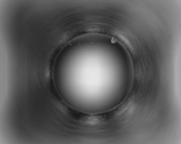 X0000092240261200709141129
