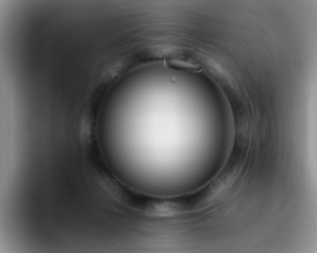 X0000092240268200709141129