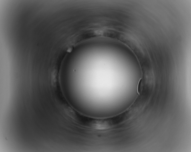 X0000092240275200709141129
