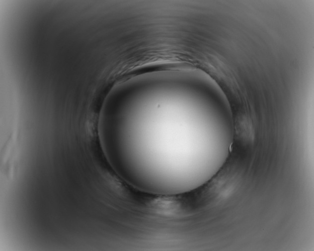X0000092240280200709141129
