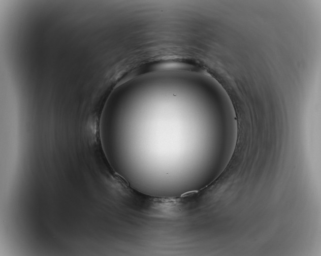 X0000092240288200709141129