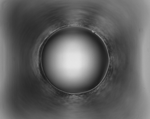 X0000092240290200709141129