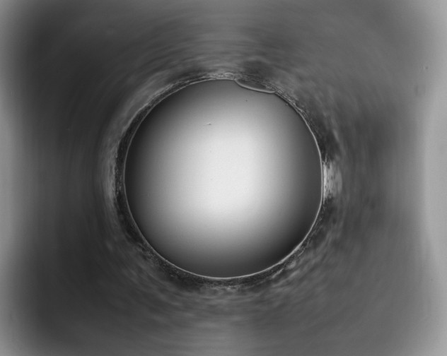 X0000092240291200709141129